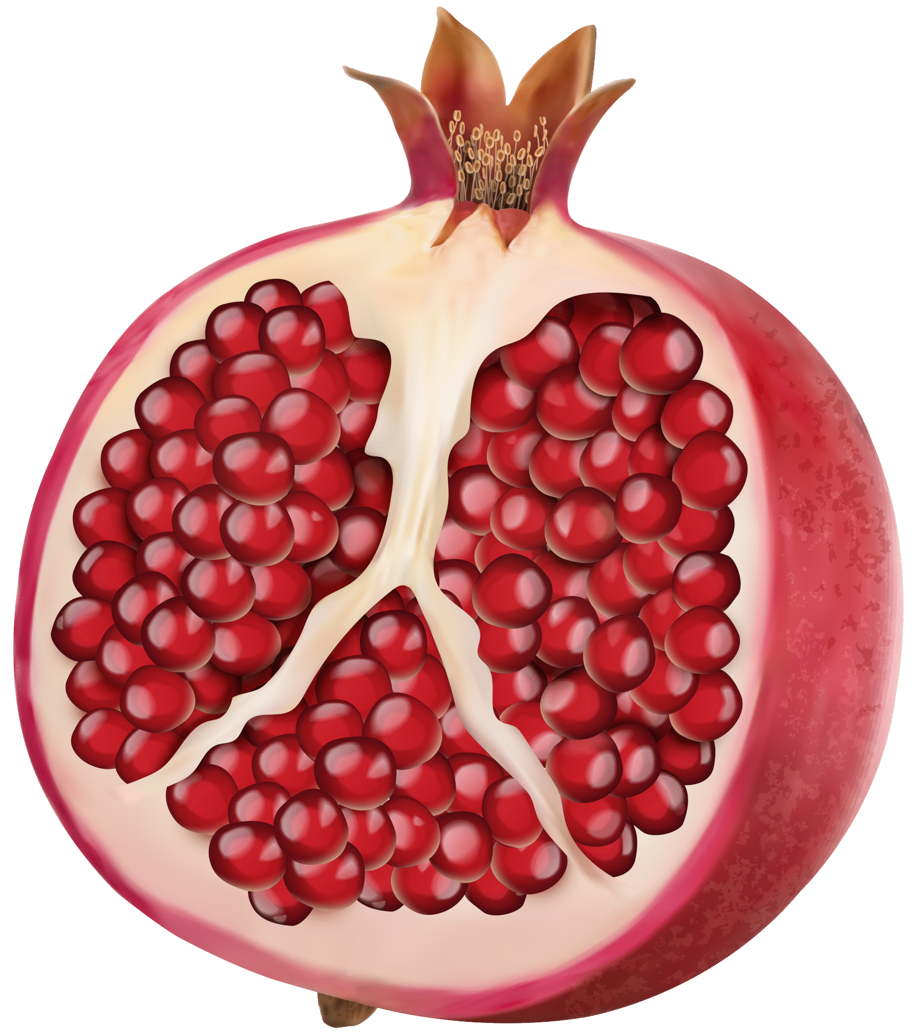 From Hand Grading to AI-Powered Systems: The Evolution of Apple Pack ...