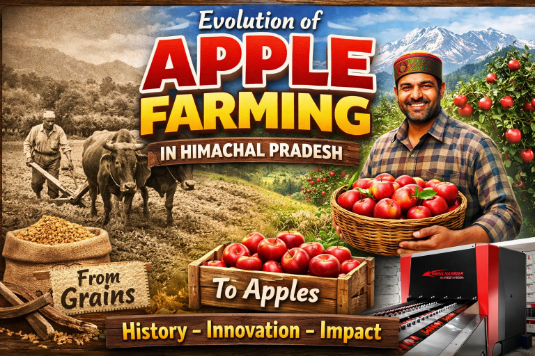 Evolution of Apple Farming in Himachal Pradesh: History, Innovation, and Impact