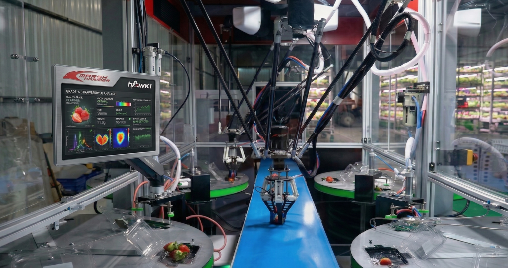 How AI Grading Machines are Reshaping Fruit and Vegetable Grading