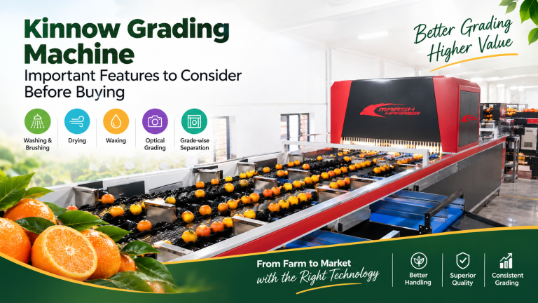 Kinnow Grading Machine: 10 Must-Have Features to Look for Before Buying